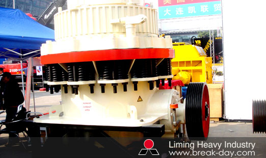 Ash Crusher Roller Segment South Africa
